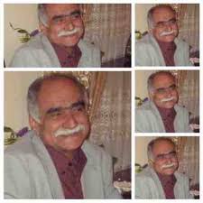 فریدون پوررضا دنیای ای نمونا